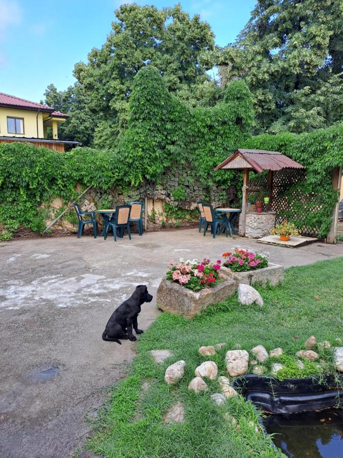 Къща За Гости -Хт Svilengrad Luaran gambar